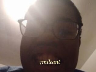 7mileant