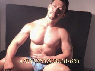 ANTHONYSUBCHUBBY