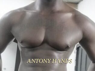 ANTONY_HANDS
