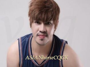 ASIANhorseCQCK