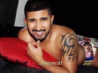 Aaroncat