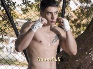 AdamBull