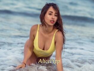 AlicePipp