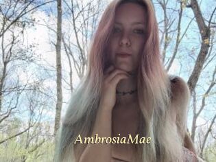 AmbrosiaMae
