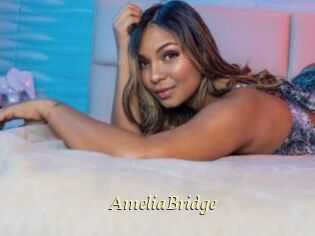 AmeliaBridge