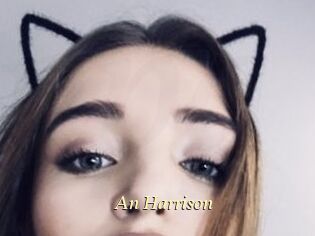 An_Harrison