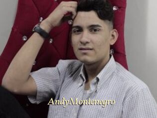 AndyMontenegro