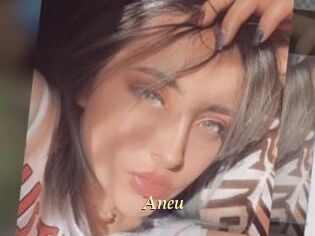 Aneu