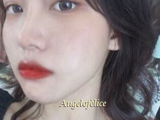 Angelofelice