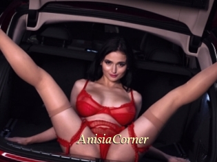 AnisiaCorner