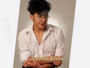 Antinoo_ditella