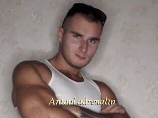 Antoni_adrenal1n