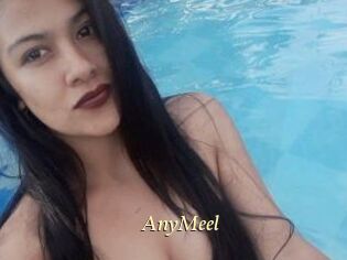 AnyMeel