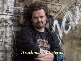 Arachnis_Chiropterus