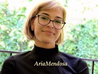 AriaMendosa