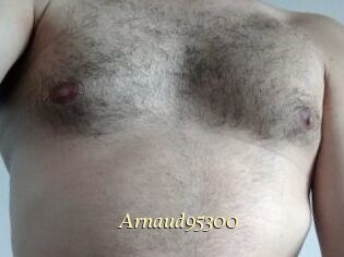 Arnaud95300