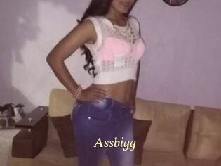 Assbigg