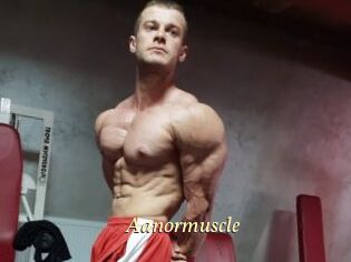 Aanormuscle