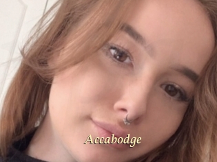 Accabodge