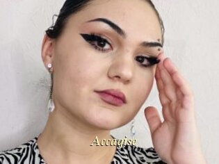 Accagise
