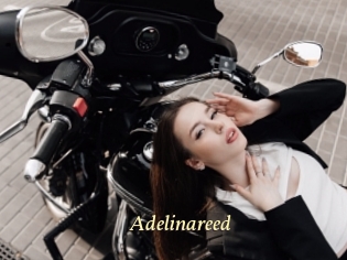 Adelinareed