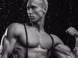 Adonis