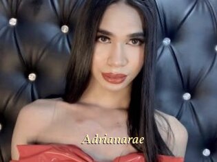 Adrianarae
