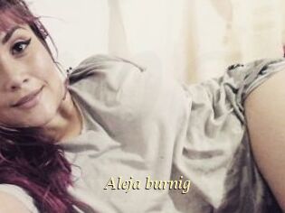 Aleja_burnig
