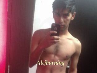 Alejburning