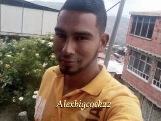Alexbigcock22