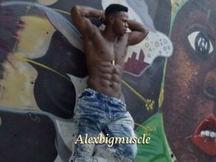 Alexbigmuscle