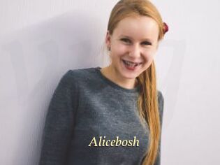 Alicebosh