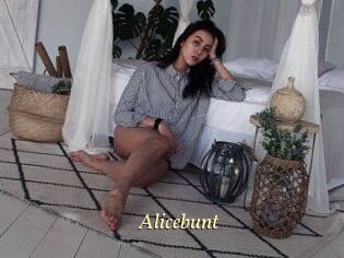 alicebunt Vidéo porno gratuite