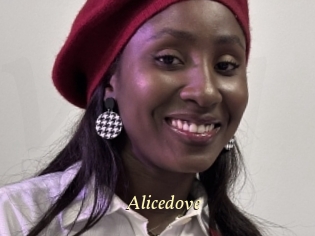 Alicedove
