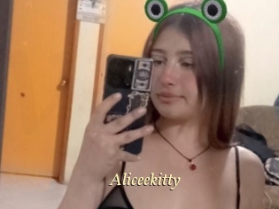 Aliceekitty