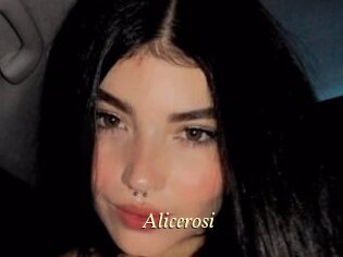 Alicerosi