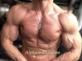 Alphamuscledom