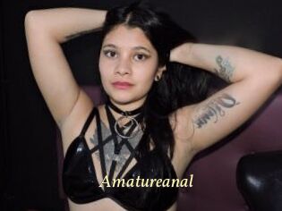 Amatureanal