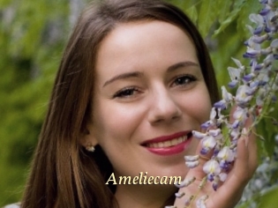 Ameliecam