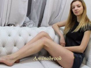 Aminabrook