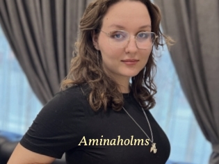 Aminaholms