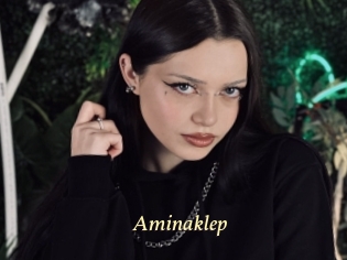 Aminaklep