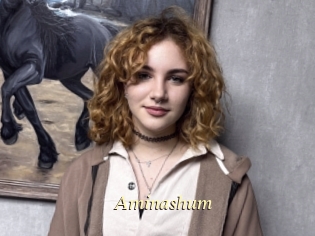 Aminashum