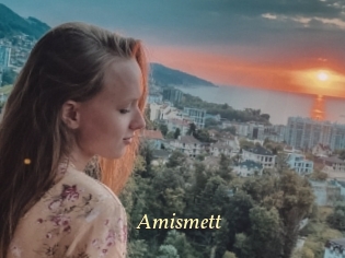Amismett