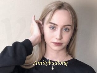 Amitybudlong