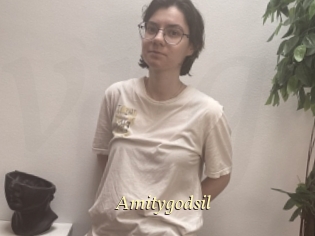 Amitygodsil