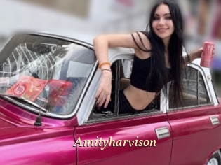 Amityharvison
