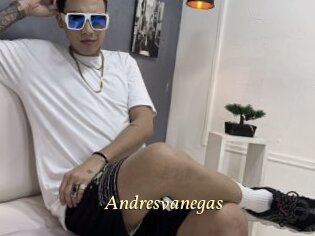 Andresvanegas