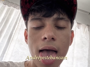 Andreyestebancam