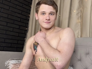 Andycatt